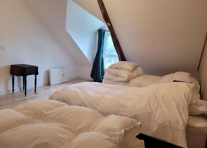 Chateau De La Garlais - 29 Couchages بيت للعطل