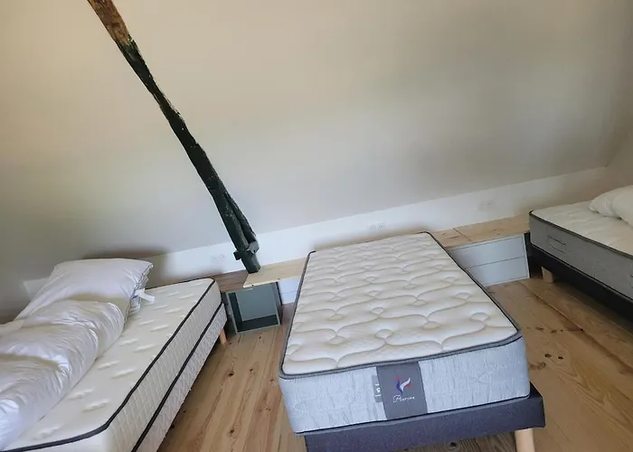 Chateau De La Garlais - 29 Couchages * Derval