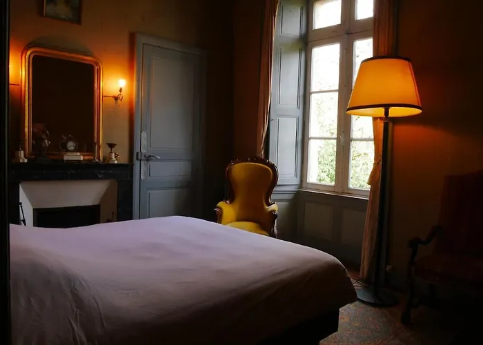 Chateau De La Garlais - 29 Couchages *